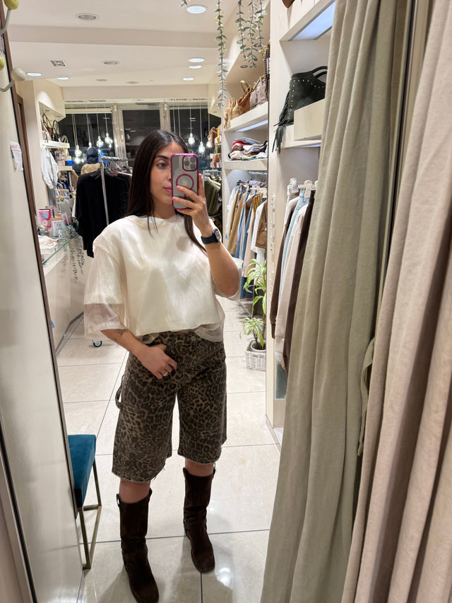 Bermuda carpenter Maculato